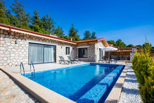Villa Miroş 1