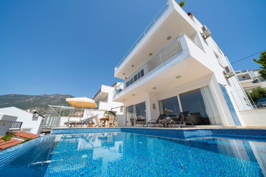 Villa Berry Kışla