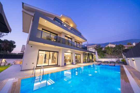 Villa Alavya